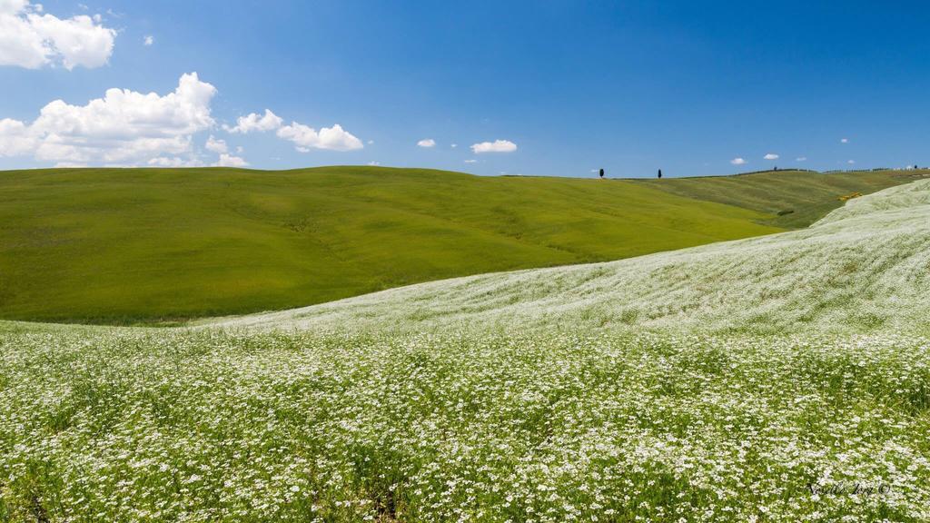 Antica Locanda ピエンツァ エクステリア 写真